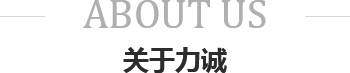 关于拼搏手机版（中国）